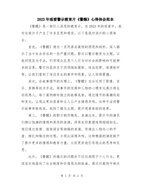 2023年观看警示教育片《警醒》心得体会范本