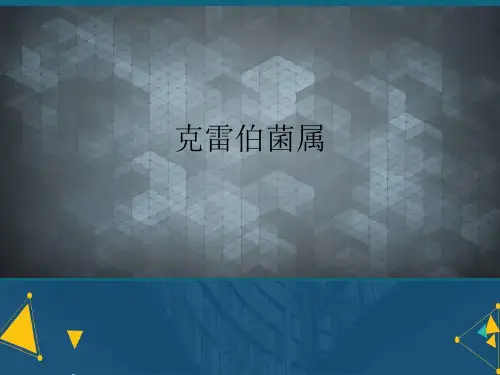 (优选)克雷伯菌属详解.