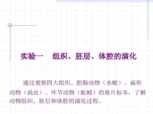 最新实验一动物解剖及动物的形态结构观察技术PPT课件