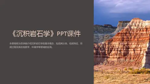 《沉积岩石学》课件