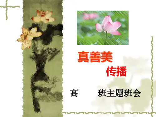 弘扬真善美,传播正能量——何永平
