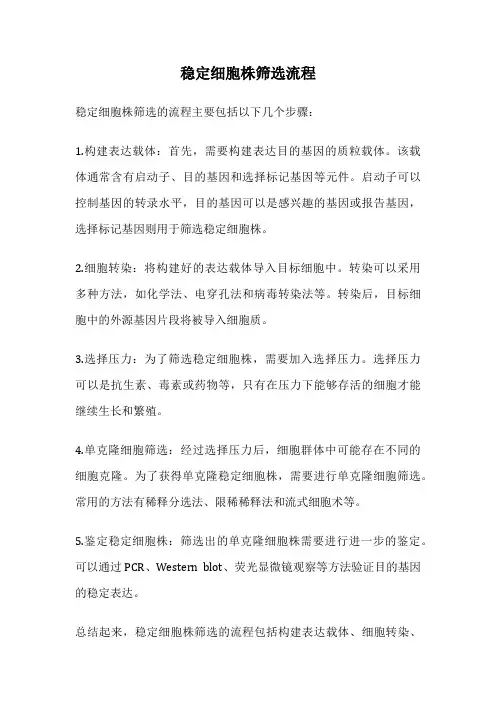 稳定细胞株筛选流程