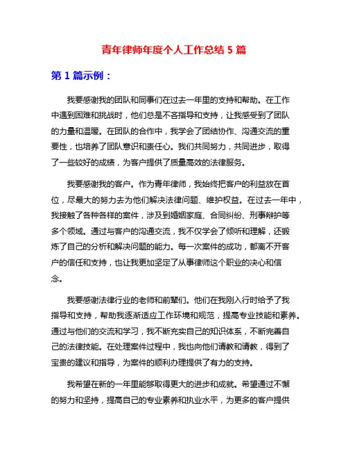 青年律师年度个人工作总结5篇