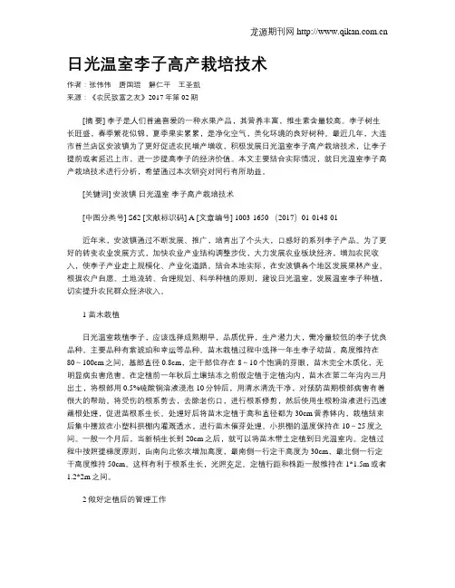 日光温室李子高产栽培技术