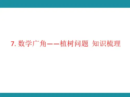 7. 数学广角——植树问题  知识梳理(课件)人教版数学五年级上册
