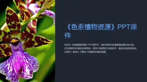 《色素植物资源》课件