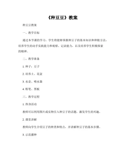《种豆豆》教案