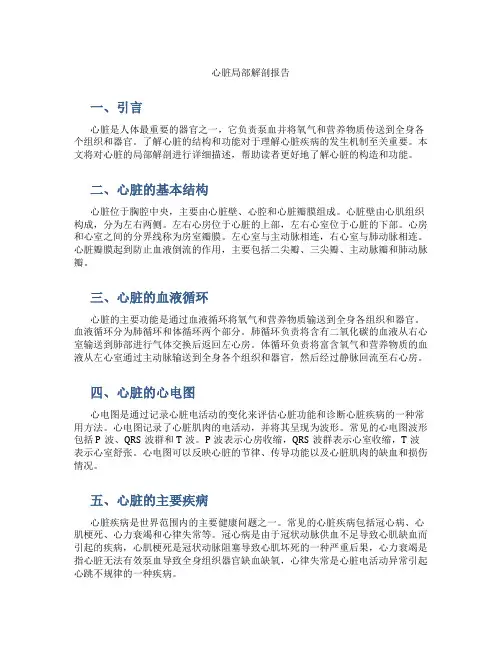 心脏局部解剖报告
