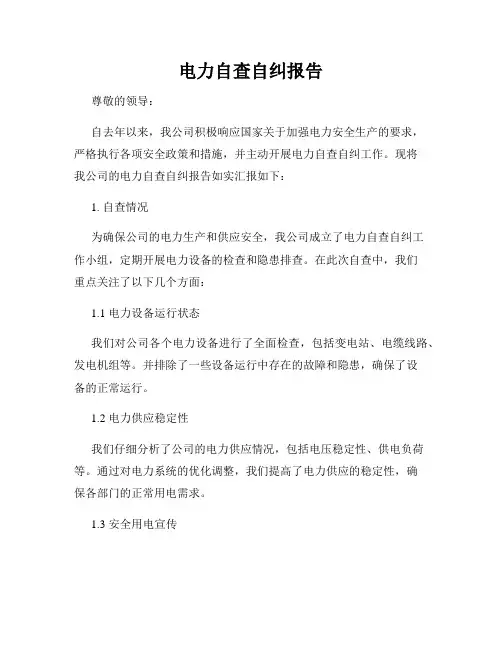 电力自查自纠报告