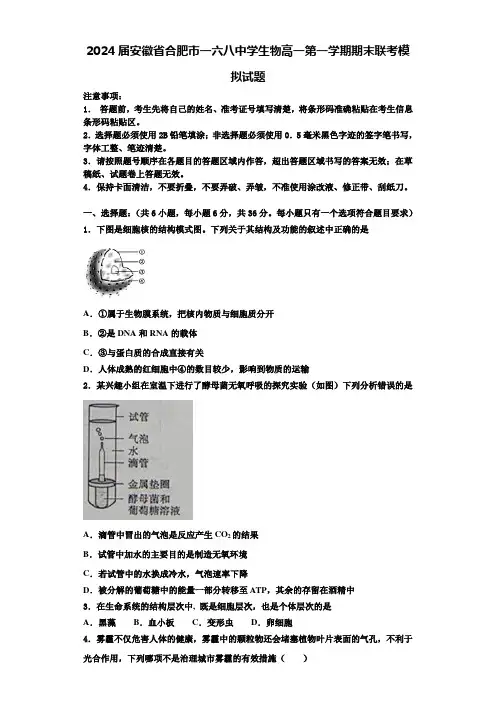 2024届安徽省合肥市一六八中学生物高一第一学期期末联考模拟试题含解析
