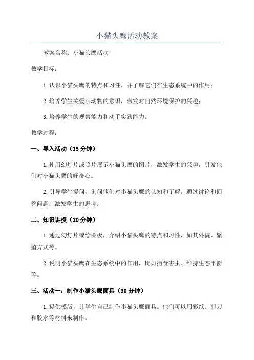 小猫头鹰活动教案