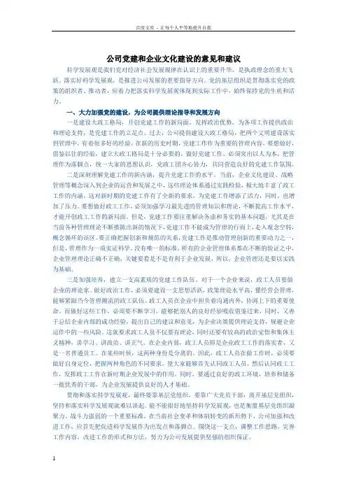 公司党建和企业文化建设的意见和建议