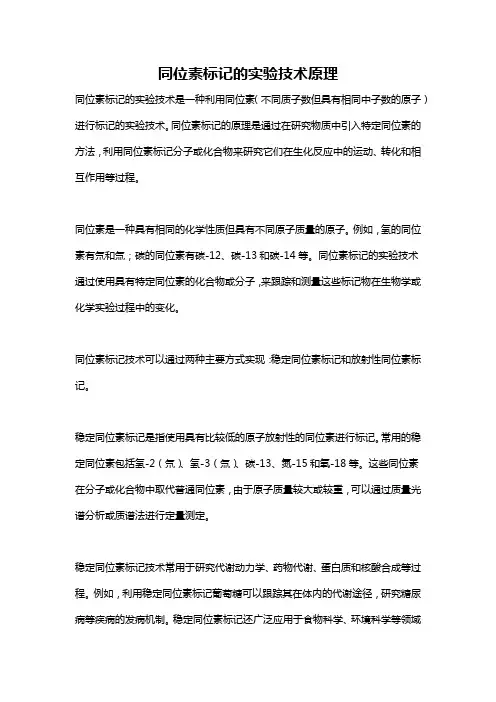 同位素标记的实验技术原理