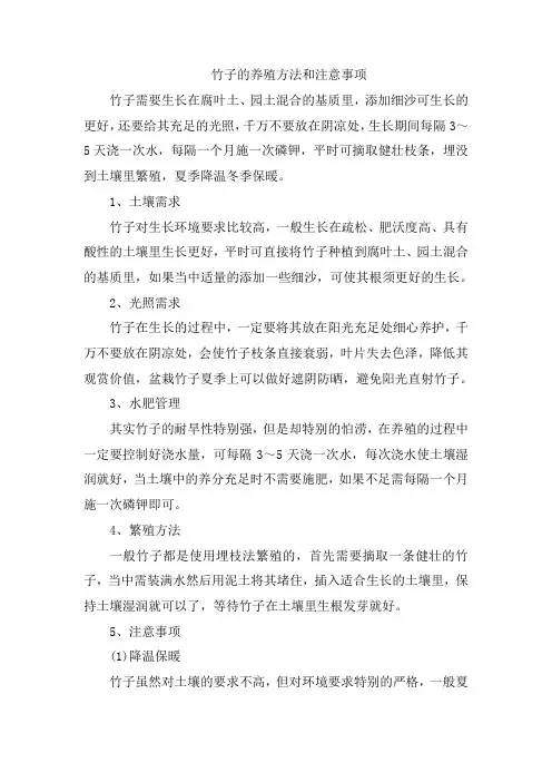 竹子的养殖方法和注意事项