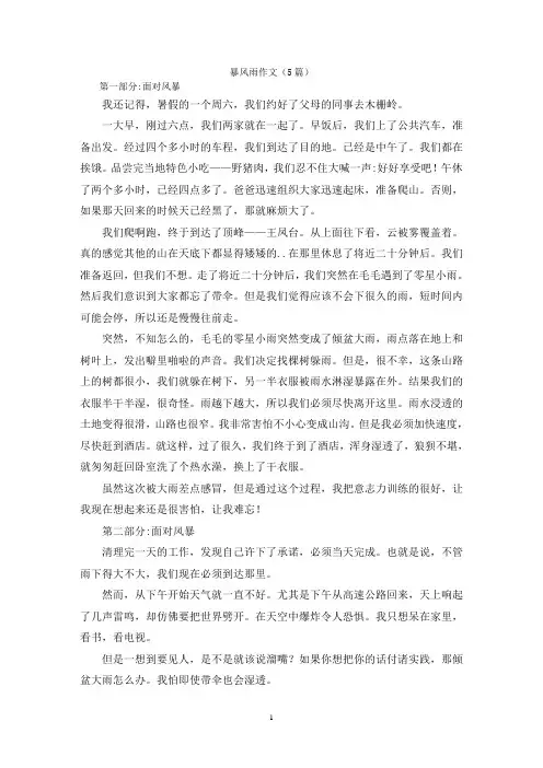 暴风雨作文(5篇)