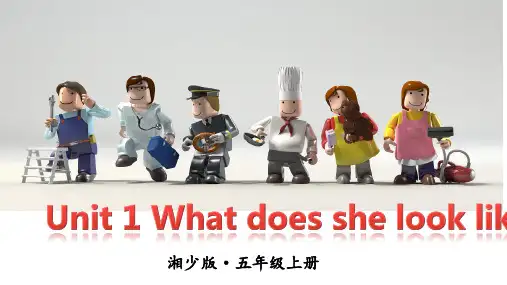 湘少版(三起)英语五年级上册Unit 1 What does she look like？课件