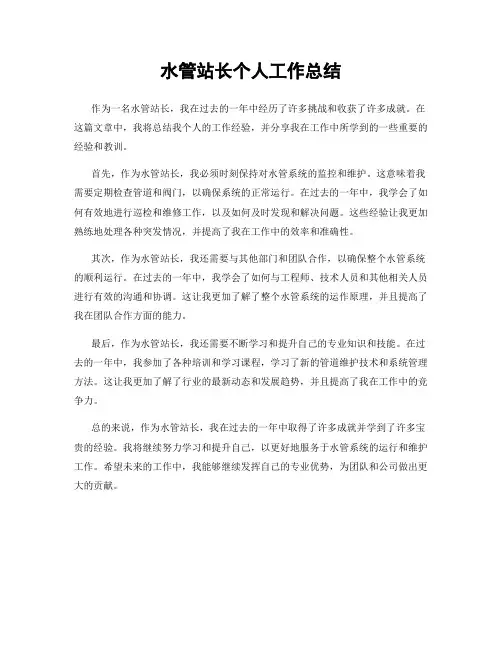水管站长个人工作总结