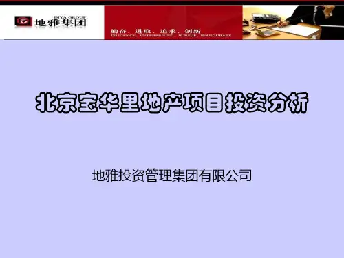 宝华里项目投资分析 (NXPowerLite)