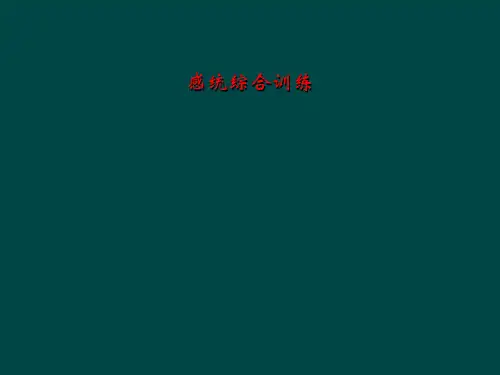 感统综合训练