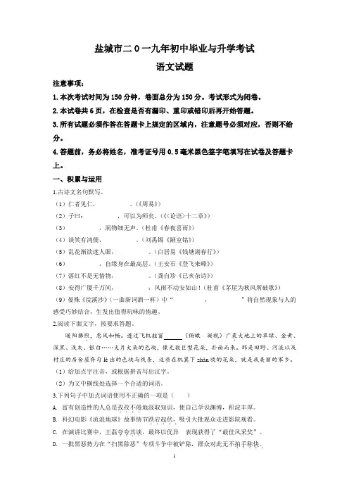 【真卷】2019年江苏省盐城市中考语文试题(解析版)