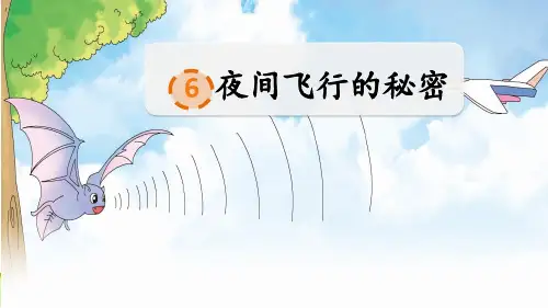 夜间飞行的秘密教学课件 (3)