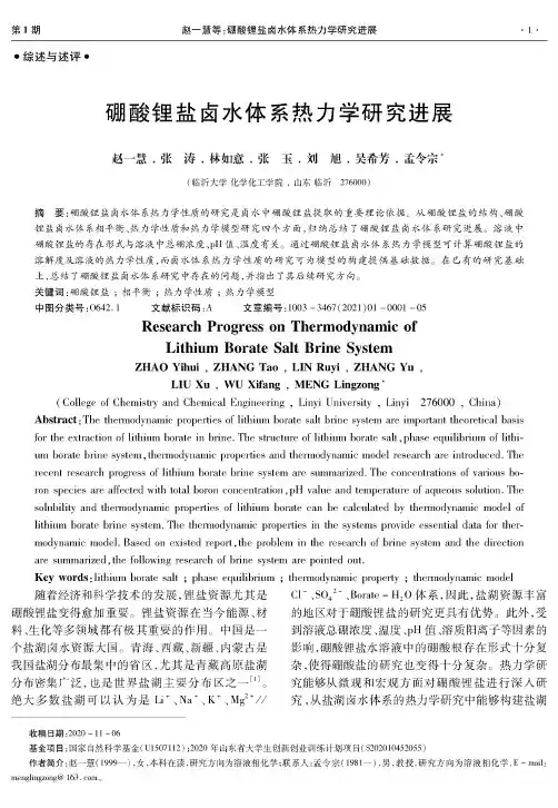硼酸锂盐卤水体系热力学研究进展
