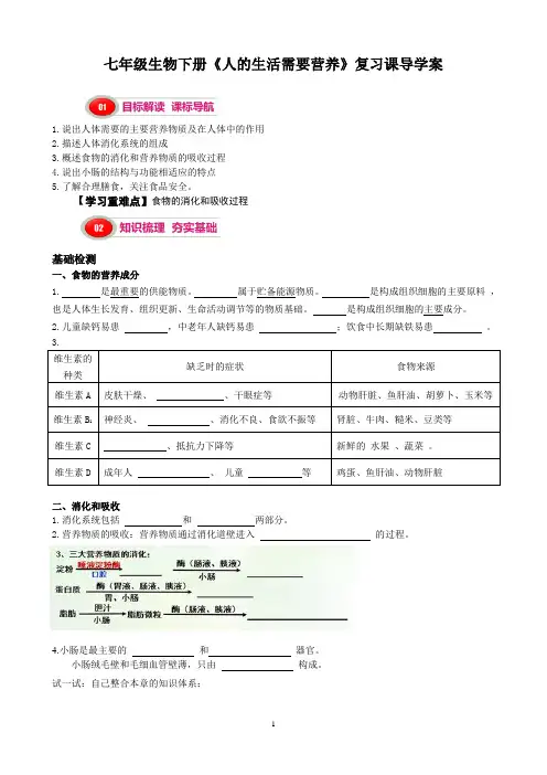 七年级生物下册《人的生活需要营养》复习课导学案及答案