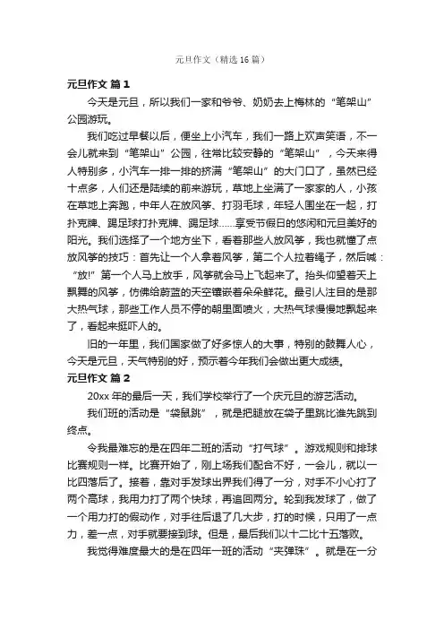 元旦作文（精选16篇）