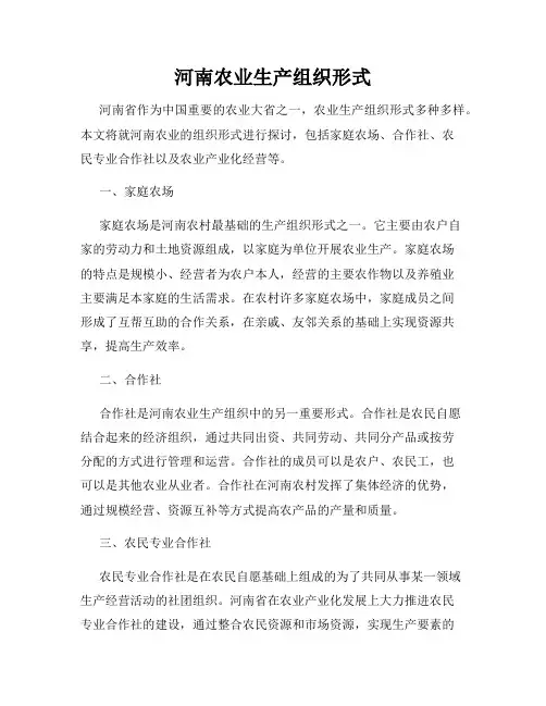 河南农业生产组织形式