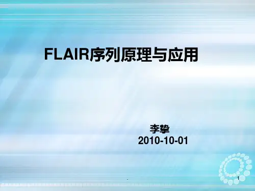 FLAIRppt课件