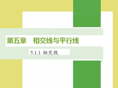 新人教版七年级下册数学第五章课件
