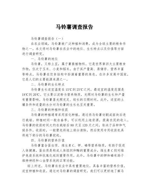 马铃薯调查报告