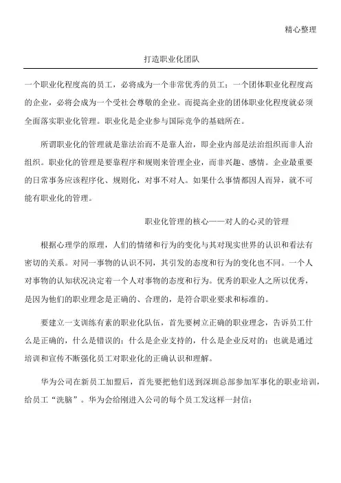 打造职业化团队