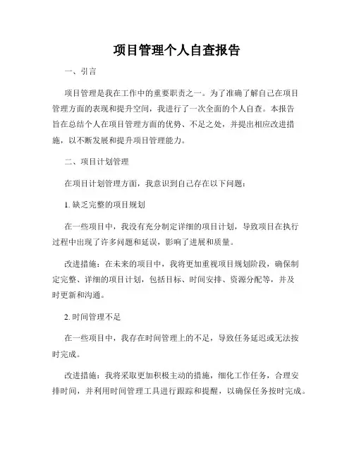 项目管理个人自查报告