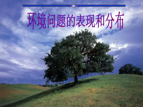 环境问题的表现及分布(ppt 25页)