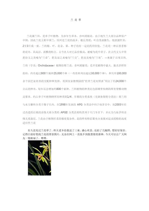 兰花