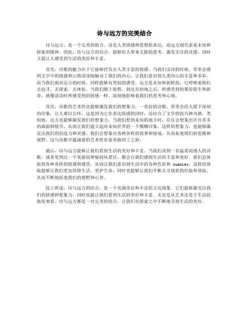 诗与远方的完美结合