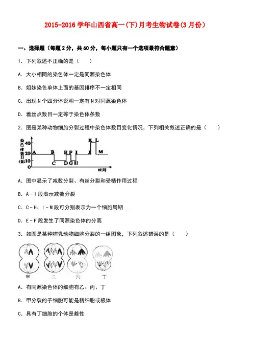 山西省高一生物下学期3月月考试卷(含解析)