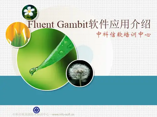 Fluent 通用应用介绍