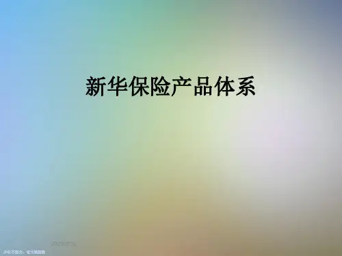 新华保险产品体系