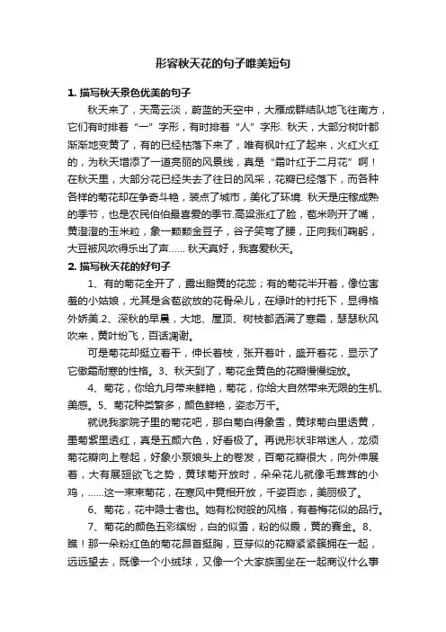 形容秋天花的句子唯美短句