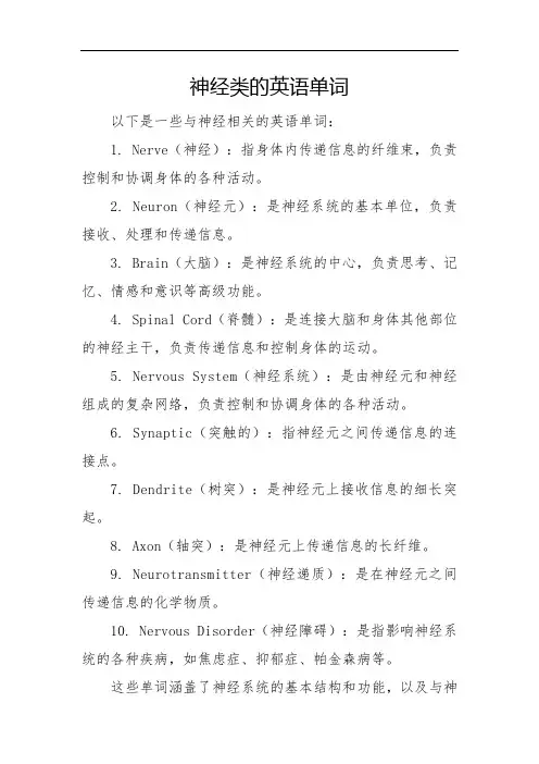 神经类的英语单词