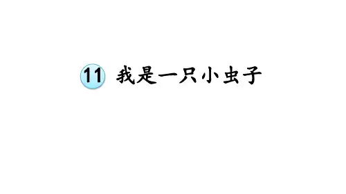 人教部编版《我是一只小虫子》公开课课件1