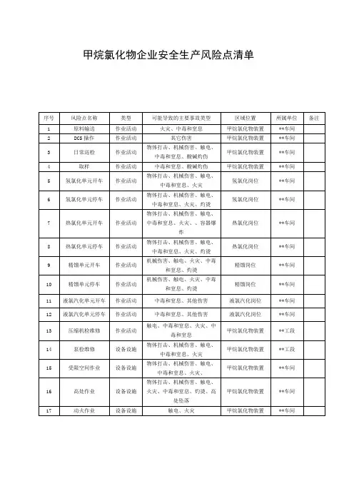 甲烷氯化物企业安全生产风险点清单