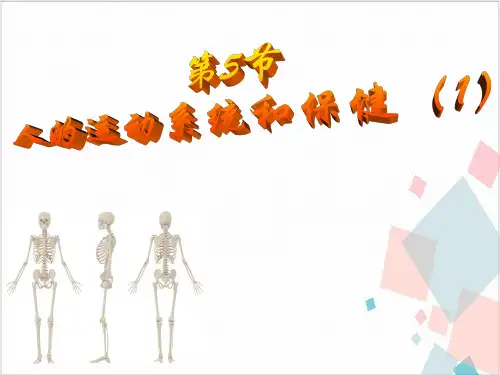人的运动系统和保健-ppt下载
