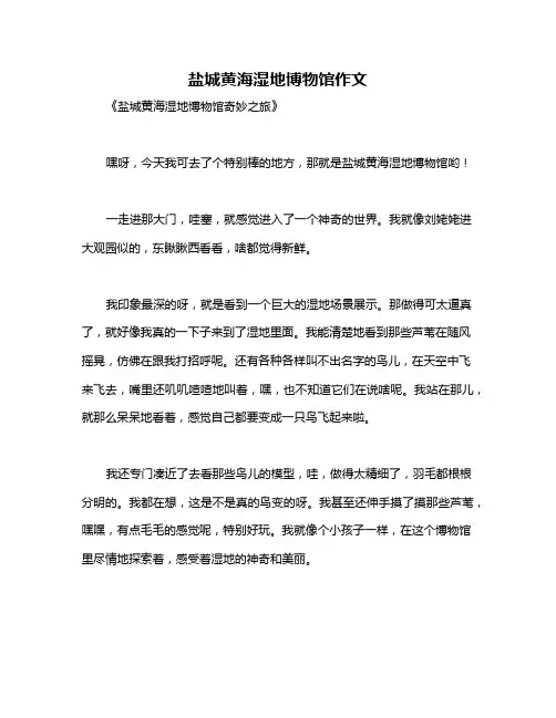盐城黄海湿地博物馆作文