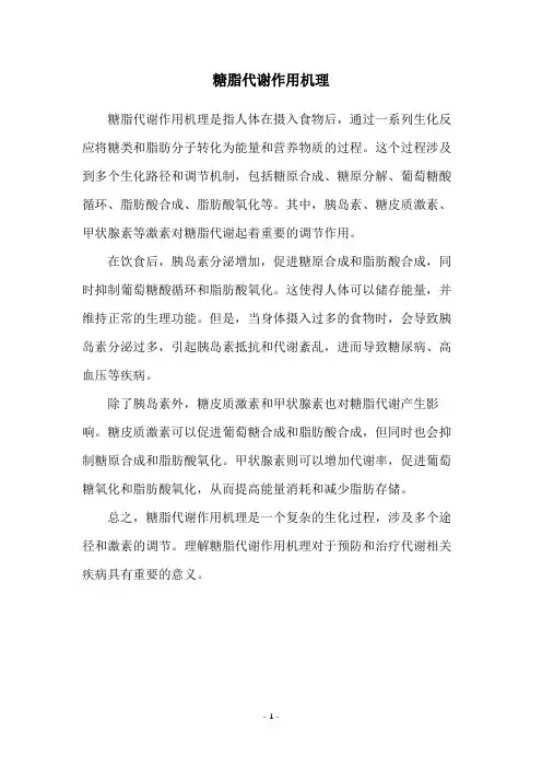 糖脂代谢作用机理