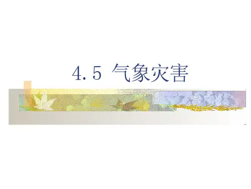 气象灾害 课件