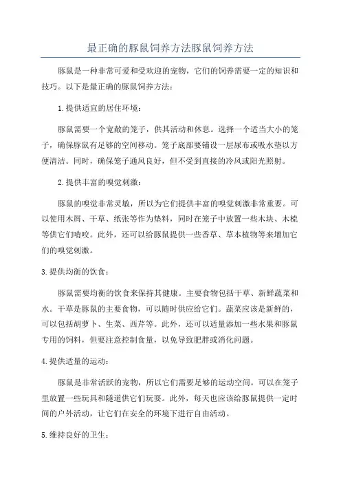 最正确的豚鼠饲养方法豚鼠饲养方法