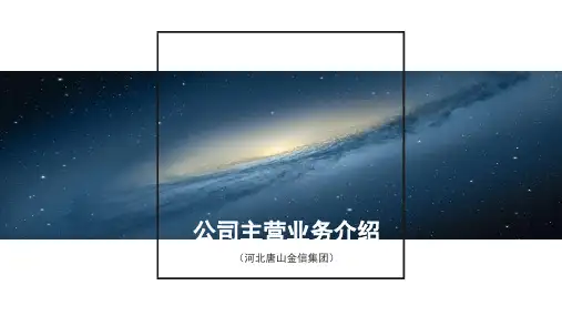 公司主营业务介绍(金信)